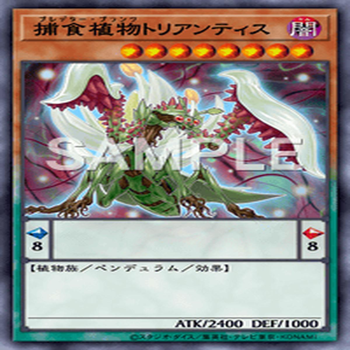 Yu-Gi-Oh! Official Card Game DIFO-JP019