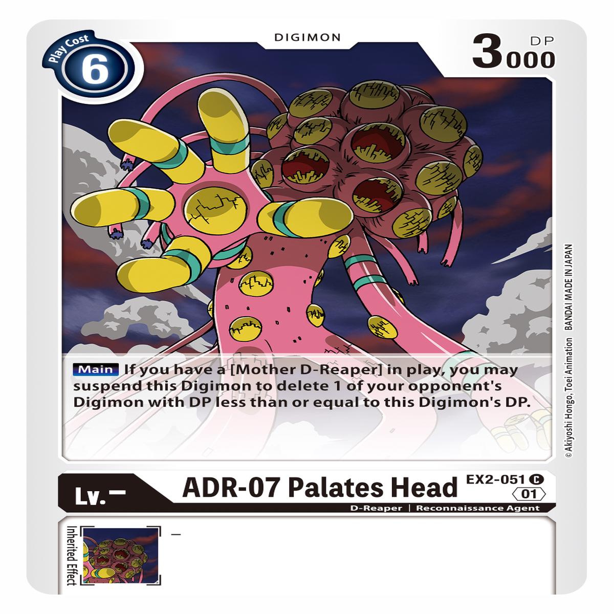 ADR-07 Palates Head EX2-051
