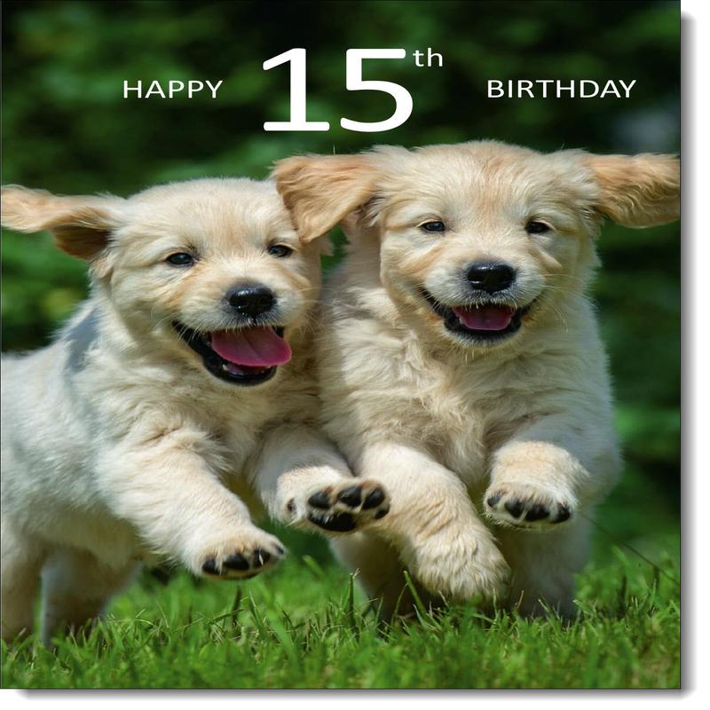 15th Birthday Card Age 15 Golden Retriever Puppies