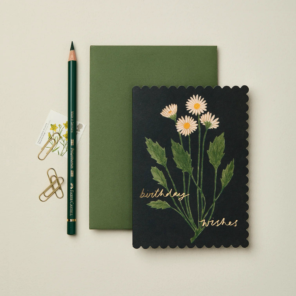 'Birthday Wishes' Daisies Greetings Card