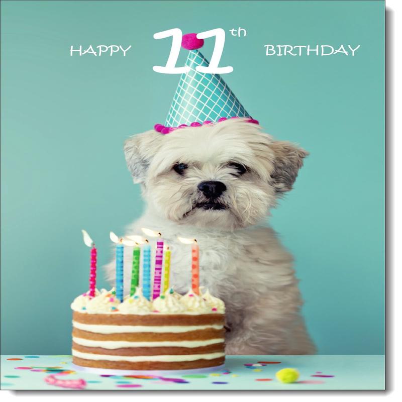 11th Birthday Card Age 11 for Girl Birthday Dog